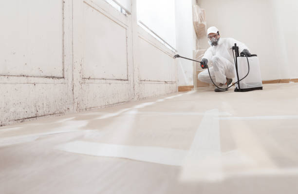 24/7 Emergency Mold Removal experts in Elkton, VA